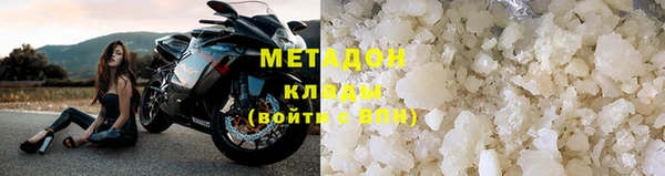 прущие грибы Абинск