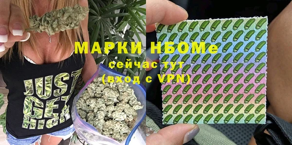 прущие грибы Абинск