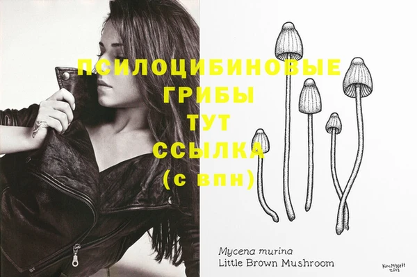 прущая мука Абдулино