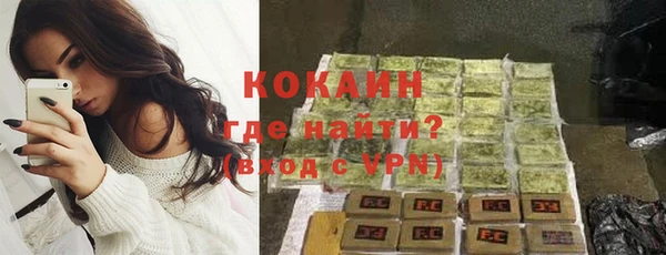 прущие грибы Абинск